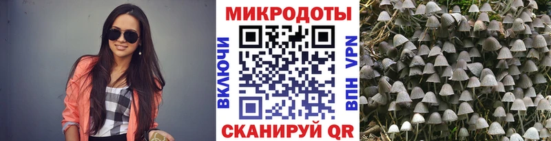OMG tor Скопин Псилоцибиновые грибы мухоморы цены